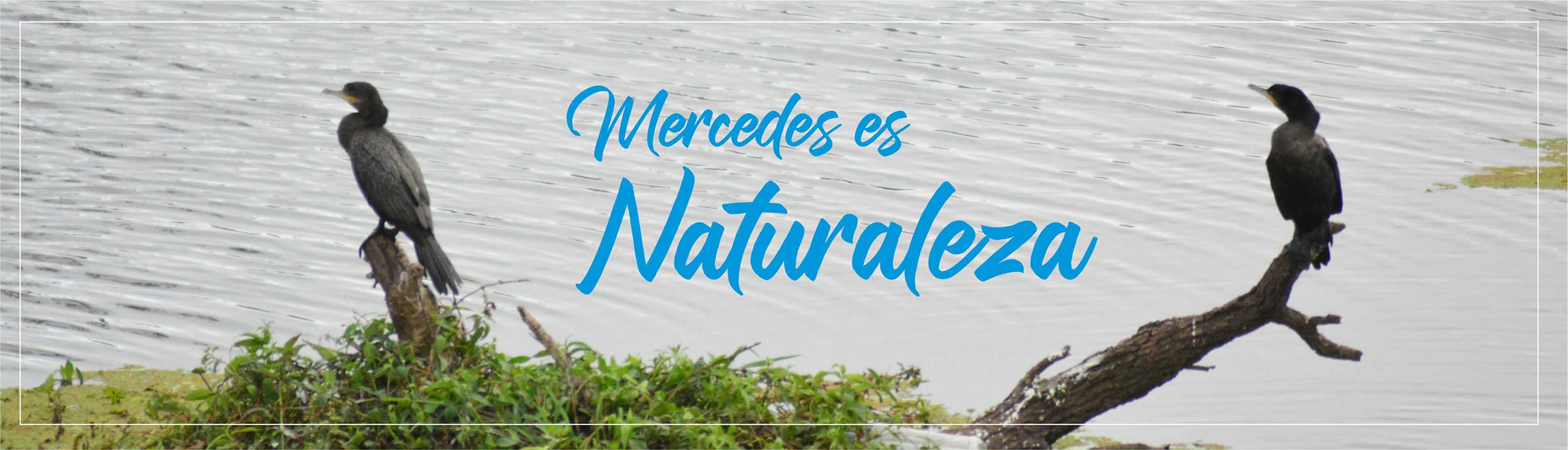 naturaleza01